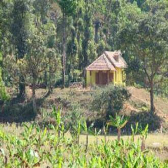 Swap Your Concrete Confines, Coorg 1